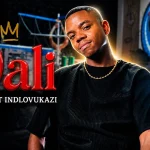 Dali Da Man Ft Indlovukazi And Tns