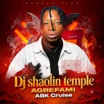 Dj Shaolin Temple Agbefami Abk Cruise Ft Bolisco
