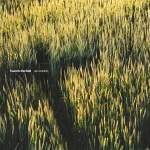Seu Worship The Cost Is A Joy Live Ft Chelsea Plank